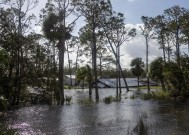 海伦的愤怒:43人死亡，数百万人失去电力，美国东南部被致命风暴摧毁